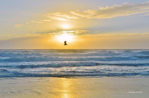 Obx Sunrise Art Print featuring the photograph July 30 Sunrise NH by Barbara Ann Bell