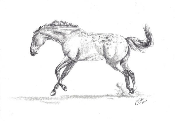 Equine Art Print featuring the drawing Jumping Around by Kate Black