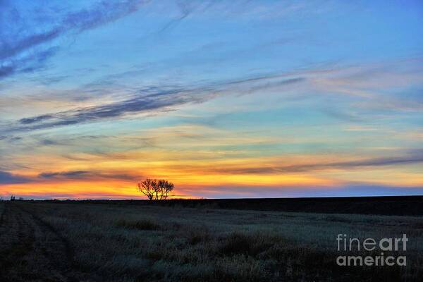 Tree Art Print featuring the photograph Kansas sunrise1 by Merle Grenz