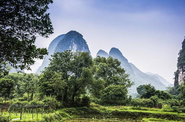 Karst Art Print featuring the photograph Karst rural scenery in spring by Carl Ning