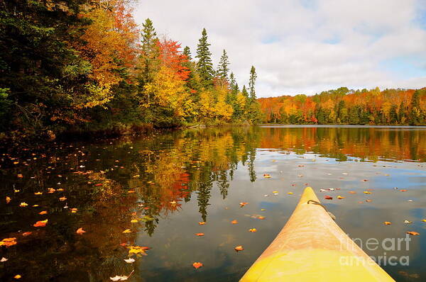 Kayaking Art Print featuring the photograph Kayaking the Fall Color by Sandra Updyke