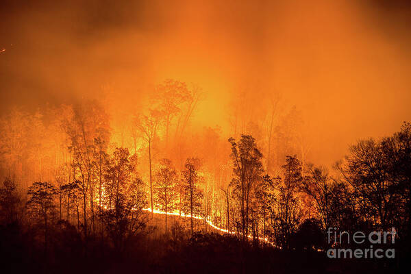 Wildfire Art Print featuring the photograph Kentucky Wildfire by Anthony Heflin