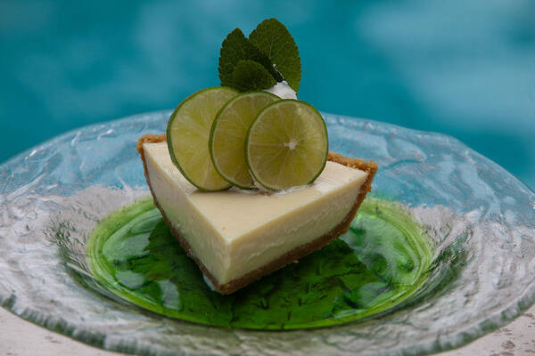 Food Art Print featuring the photograph Key Lime Pie 25 by Michael Fryd