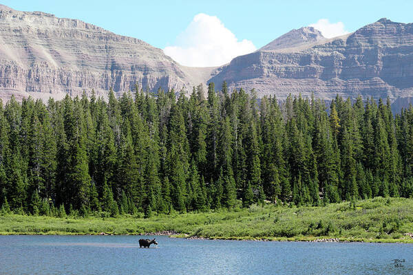 Utah Art Print featuring the photograph Kings Peak, Henrys Fork Lake and Moose by Brett Pelletier