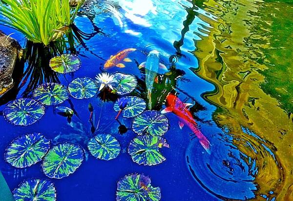 Koi Art Print featuring the photograph Koi Pond by Gini Moore