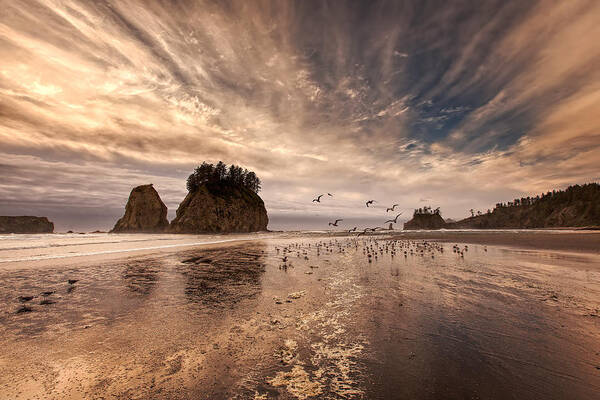 2nd Beach Art Print featuring the photograph La Push Sunset by Ian Good