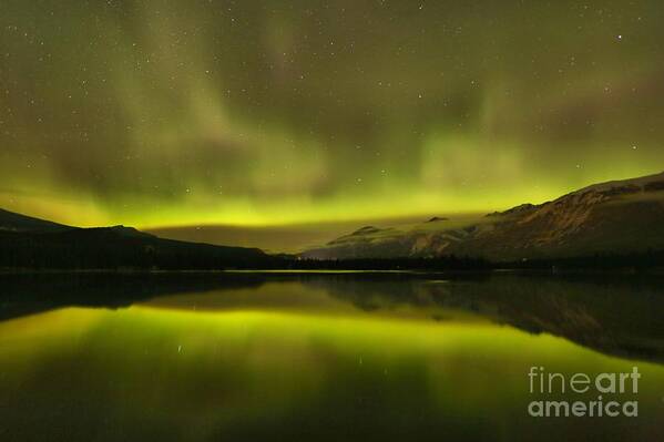 Northern Lights Art Print featuring the photograph Lac Edith Northern Light Show by Adam Jewell