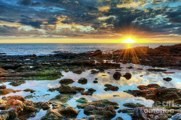 Laguna Art Print featuring the photograph Laguna Beach Tidepools by Eddie Yerkish