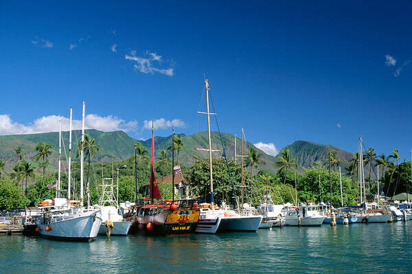 Afternoon Art Print featuring the photograph Lahaina Harbor - Maui by William Waterfall - Printscapes