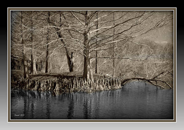 Lake Art Print featuring the photograph Lake Alice by Farol Tomson