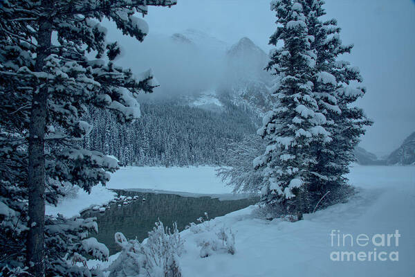  Art Print featuring the photograph Lake Louise Foggy Winter Morning by Adam Jewell