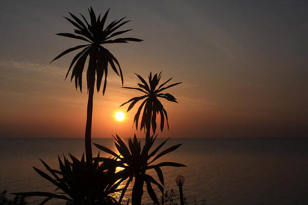 Africa Art Print featuring the photograph Lake Tana, Ethiopia by Aidan Moran