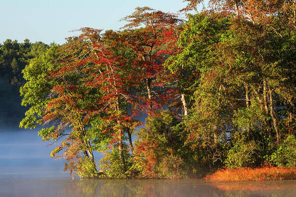 Lake Waban Art Print featuring the photograph Lake Waban Fall Foliage by Juergen Roth