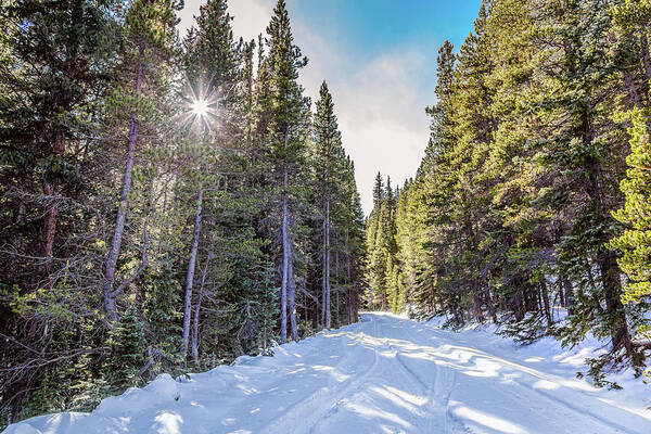 Backcountry Art Print featuring the photograph Last Chance by James BO Insogna