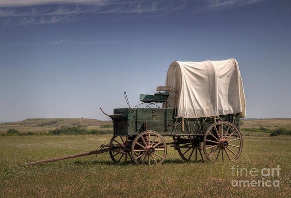 Drovers Art Print featuring the photograph Last Stop by Fred Lassmann