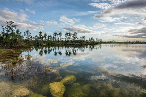 Everglades Art Print featuring the photograph Lasting Sunset by Jon Glaser