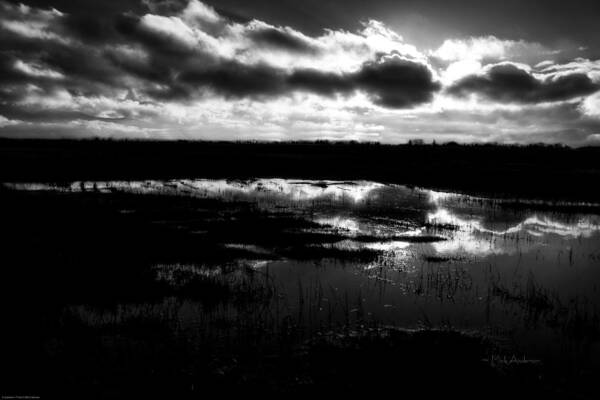 B&w Art Print featuring the photograph Late Winter Afternoon by Mick Anderson