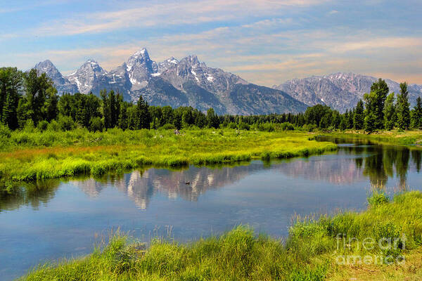 Mount Moran Art Print featuring the photograph Lavender Teton Peaks by Karen Jorstad