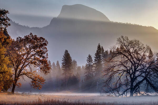 Half Dome Art Print featuring the photograph Light Rays in Yosemite Ground Fog by Jeff Sullivan