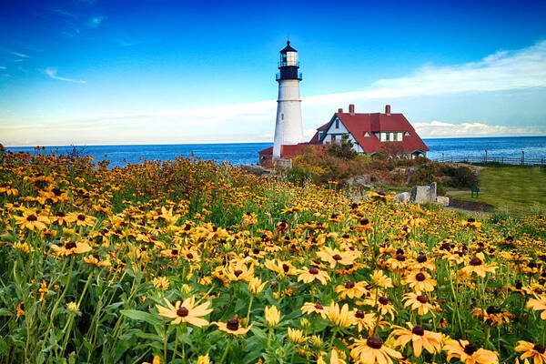 Portland Art Print featuring the photograph Portland, Maine LightHouse Flowers by John Daly