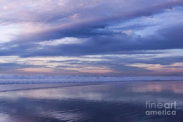 Lavender Art Print featuring the photograph Like a Mirror by Ana V Ramirez