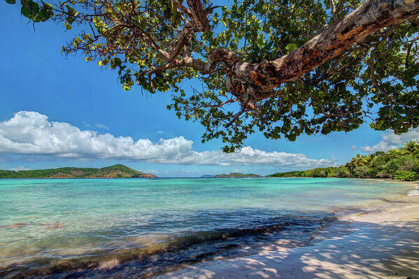 Beach Art Print featuring the photograph Lindquist Beach by Gary Felton