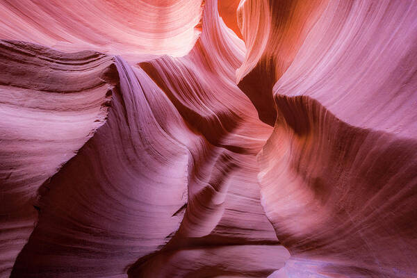 Antelope Canyon Art Print featuring the photograph Lines in the Canyon by Jon Glaser