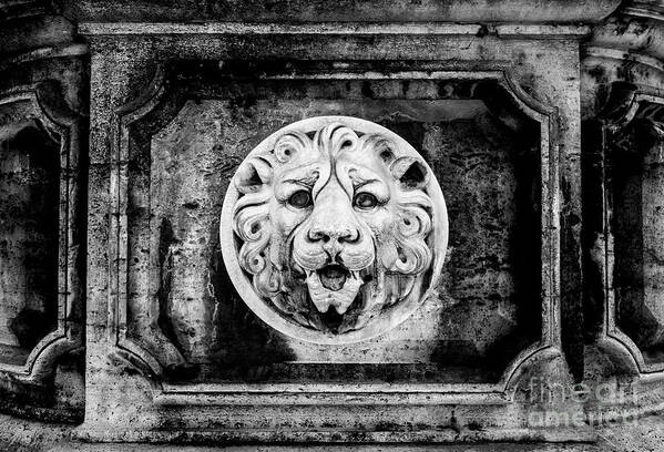 Rome Art Print featuring the photograph Lion of Rome by Jason Knott