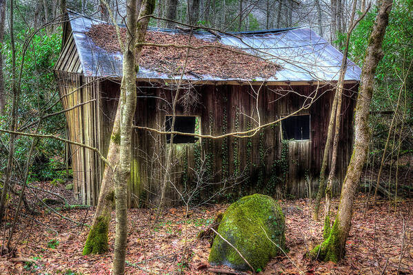 Abandoned Home Art Print featuring the photograph Little Barn Falling by Mike Eingle