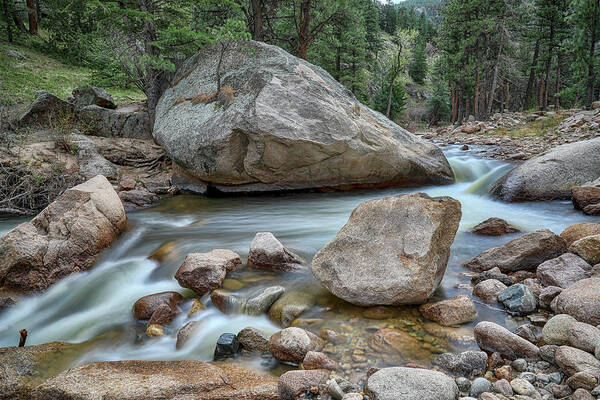 Creek Art Print featuring the photograph Little Pine Tree Stream View by James BO Insogna