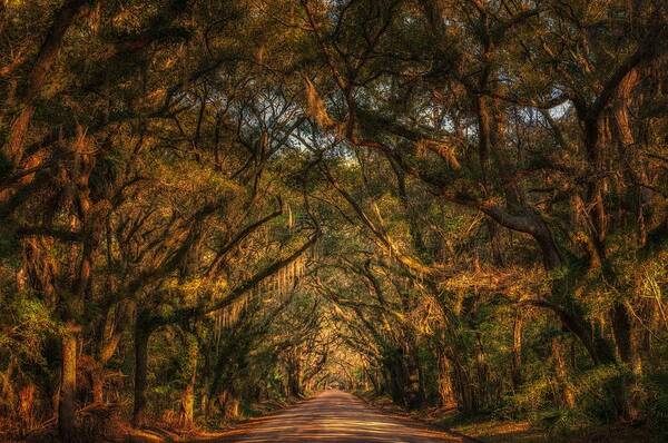 Lowcountry Springtime Art Print featuring the photograph Living Legacies on Botany Bay by Kim Carpentier