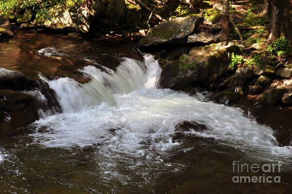 Living Streams Art Print featuring the photograph Living Streams by Lydia Holly