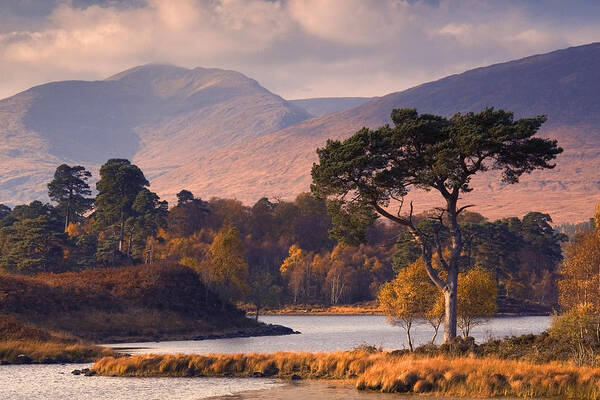 Scotland Art Print featuring the photograph Loch Tulla in Autumn by John McKinlay