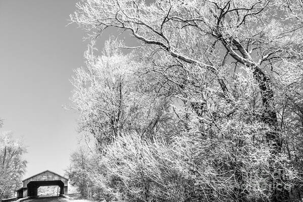 Archbold Art Print featuring the photograph Lockport Bridge Northwest Ohio by Michael Arend