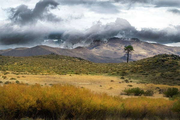 Lone Pine High Desert Nevada Art Print featuring the photograph Lone Pine High Desert Nevada by Frank Wilson