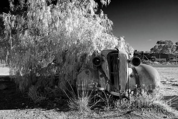 Broken Hill Nsw New South Wales Australian Old Car Pepper Tree Monochrome Mono B&w Black And White Art Print featuring the photograph Long Term Parking by Bill Robinson