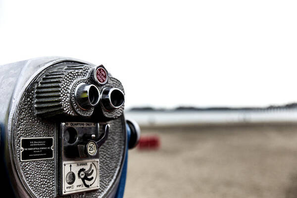 Beach Art Print featuring the photograph Look by Lora Lee Chapman