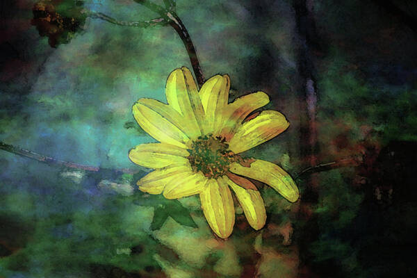Lost Art Print featuring the photograph Lost Wild Flower In The Shadows 5771 LDP_2 by Steven Ward