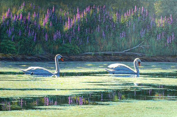 Wildlife Art Print featuring the painting Lovers Cruise by Bruce Dumas