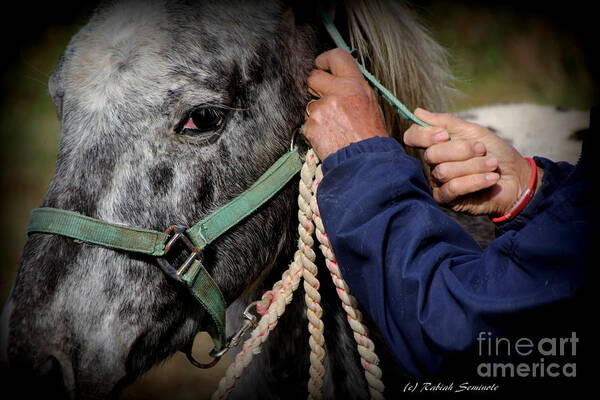 Horses Art Print featuring the photograph Loving Hands by Rabiah Seminole