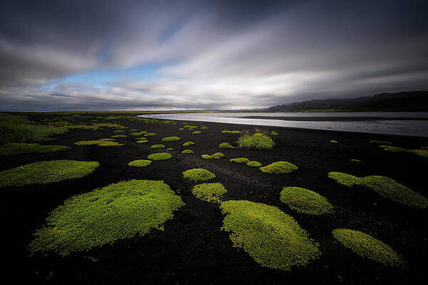 Iceland Art Print featuring the photograph Lunar Moss by Dominique Dubied