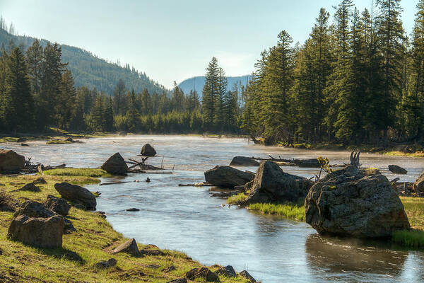Madison River Art Print featuring the photograph Madison Morning by Kristina Rinell