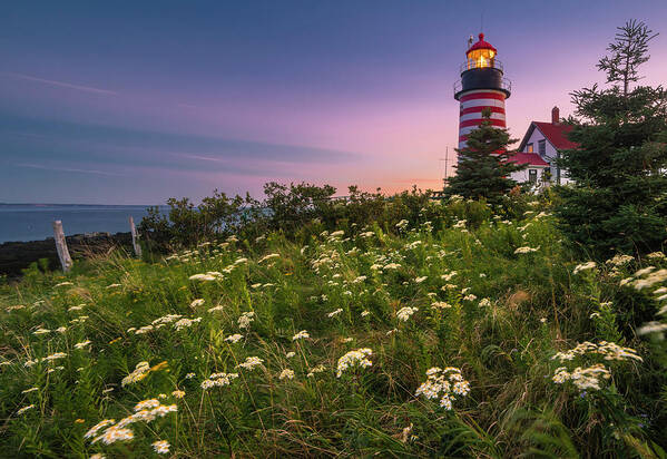 Maine Art Print featuring the photograph Maine West Quoddy Head Lighthouse Sunset by Ranjay Mitra