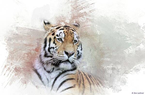 Siberian Tiger Art Print featuring the photograph Majestic by Eva Lechner