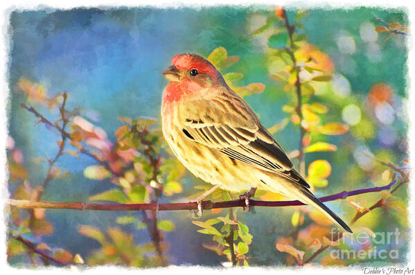 Finch Art Print featuring the photograph Male Housefinch with Colorful Leaves - Digital Paint 1 by Debbie Portwood