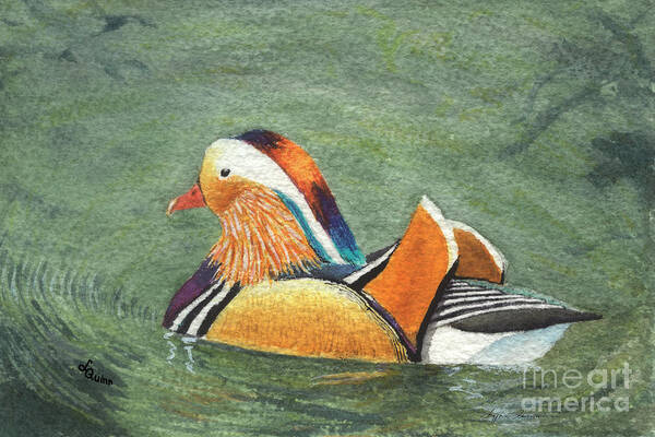 Duck Art Print featuring the painting Mandarin Duck by Lynn Quinn