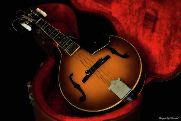 Mandolin Guitar  Art Print featuring the photograph Mandolin guitar 66661 by Kevin Chippindall