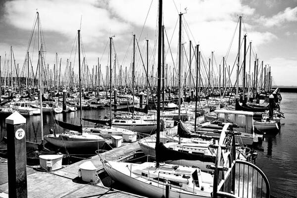 Sailing Art Print featuring the photograph Marina in Black and White by Sean Gillespie
