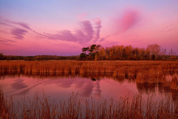 Maccan River Wildlife Management Area Art Print featuring the photograph Marsh At Dawn by Irwin Barrett