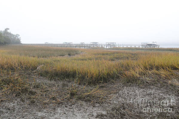 Marsh Art Print featuring the photograph Marsh Grass Fog by Dale Powell
